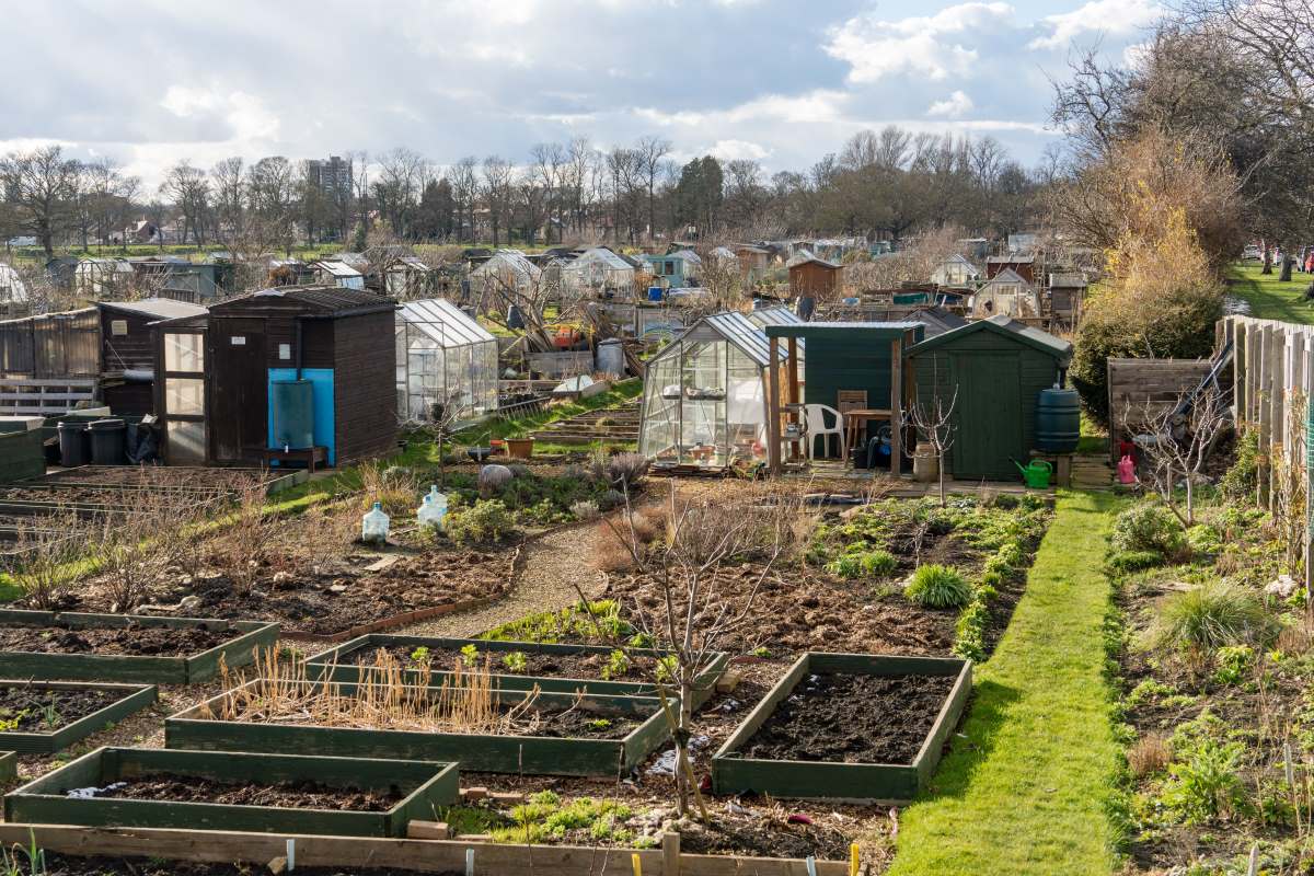 Schrebergarten in Bautzen: Alles über Pacht, Regeln und was 