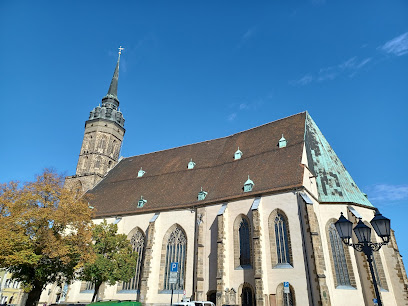 Dom St. Petri